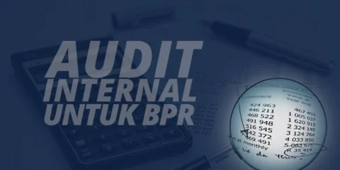 Audit Internal BPR