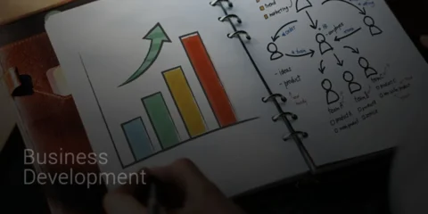 Business Development Strategy