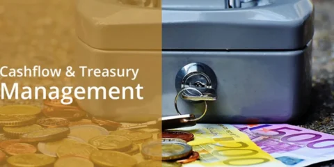 Cashflow & Treasury Management
