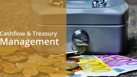 Cashflow & Treasury Management