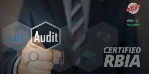 Certified Risk Based Internal Auditor (cRBIA)
