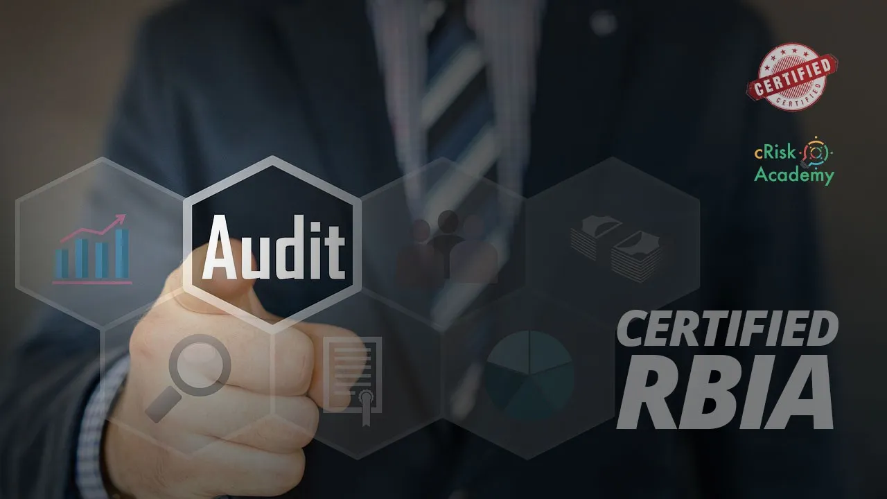 Certified Risk Based Internal Auditor (cRBIA)