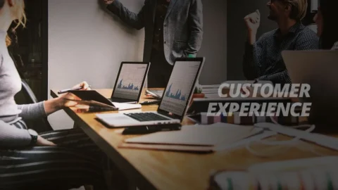 Brand and Customer Experience