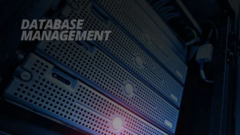 Database Management with Microsoft Access and SQL