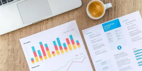 Financial Analysis for Internal Auditor
