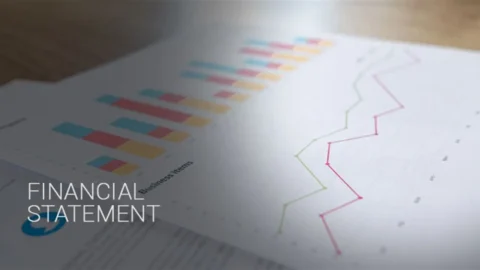 Financial Statement Analysis