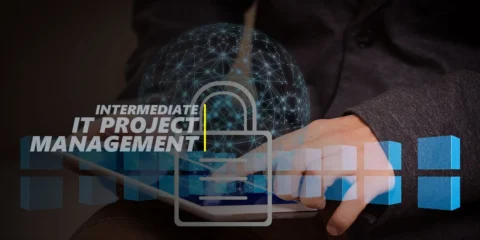 IT Project Management