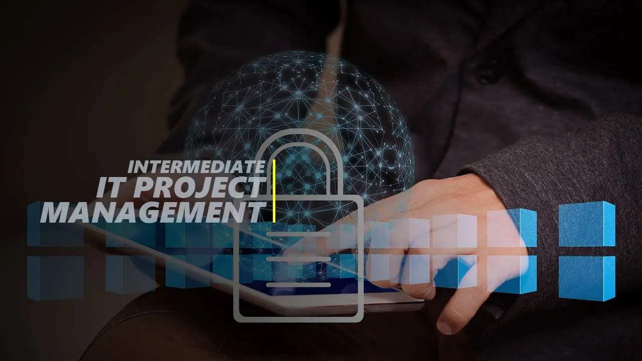 IT Project Management