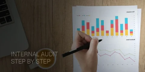 Internal Audit, A Step by Step Guideline for Auditor