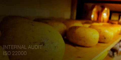 Audit Internal ISO 22000