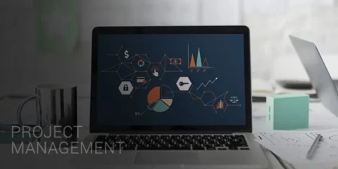 IT Project Management