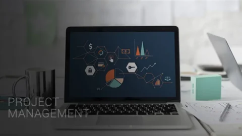 IT Project Management
