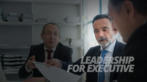 Leadership Development Program for Executives