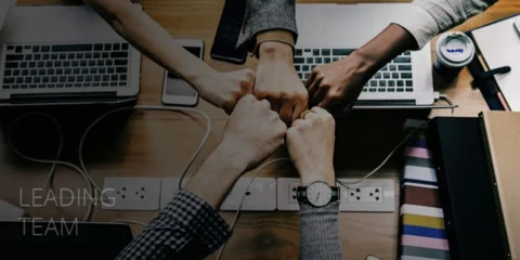 Leading Team Effectively Using DISC