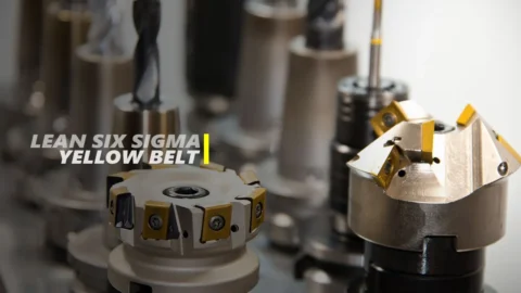 Lean Six Sigma Yellow Belt