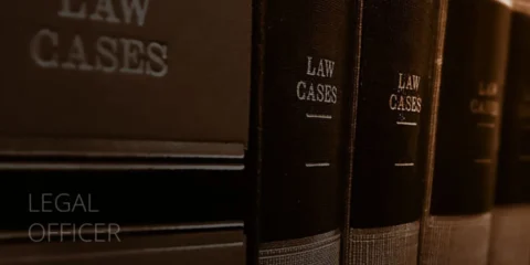 Legal for Non Legal Professional
