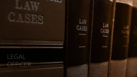 Legal for Non Legal Professional