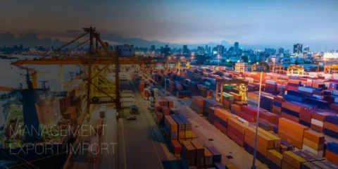 Management Export Import