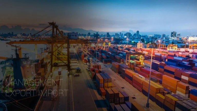 Management Export Import