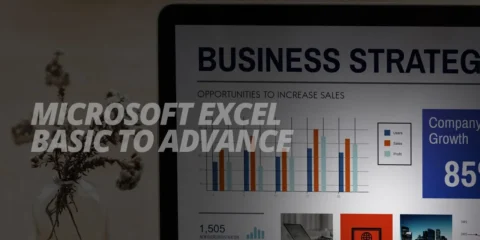 Microsoft Excel Basics to Advanced