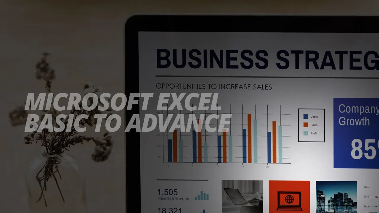 Microsoft Excel Basics to Advanced