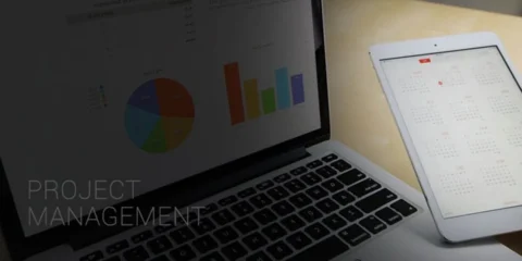 Project Management Using Microsoft Project