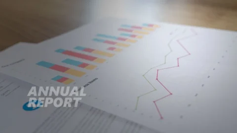 Penyusunan Annual Report