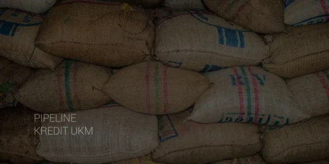 Penyusunan Pipeline Kredit UKM