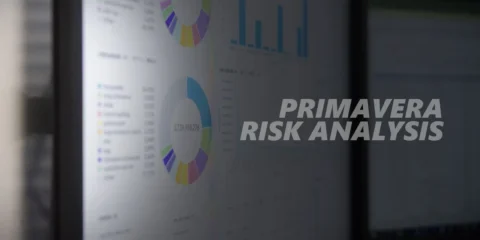 Primavera Risk Analysis