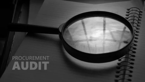 Procurement Audit and Fraud Prevention