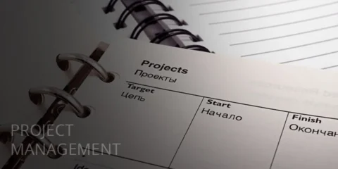 Project Management Professional