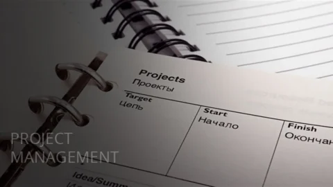 Project Management Professional
