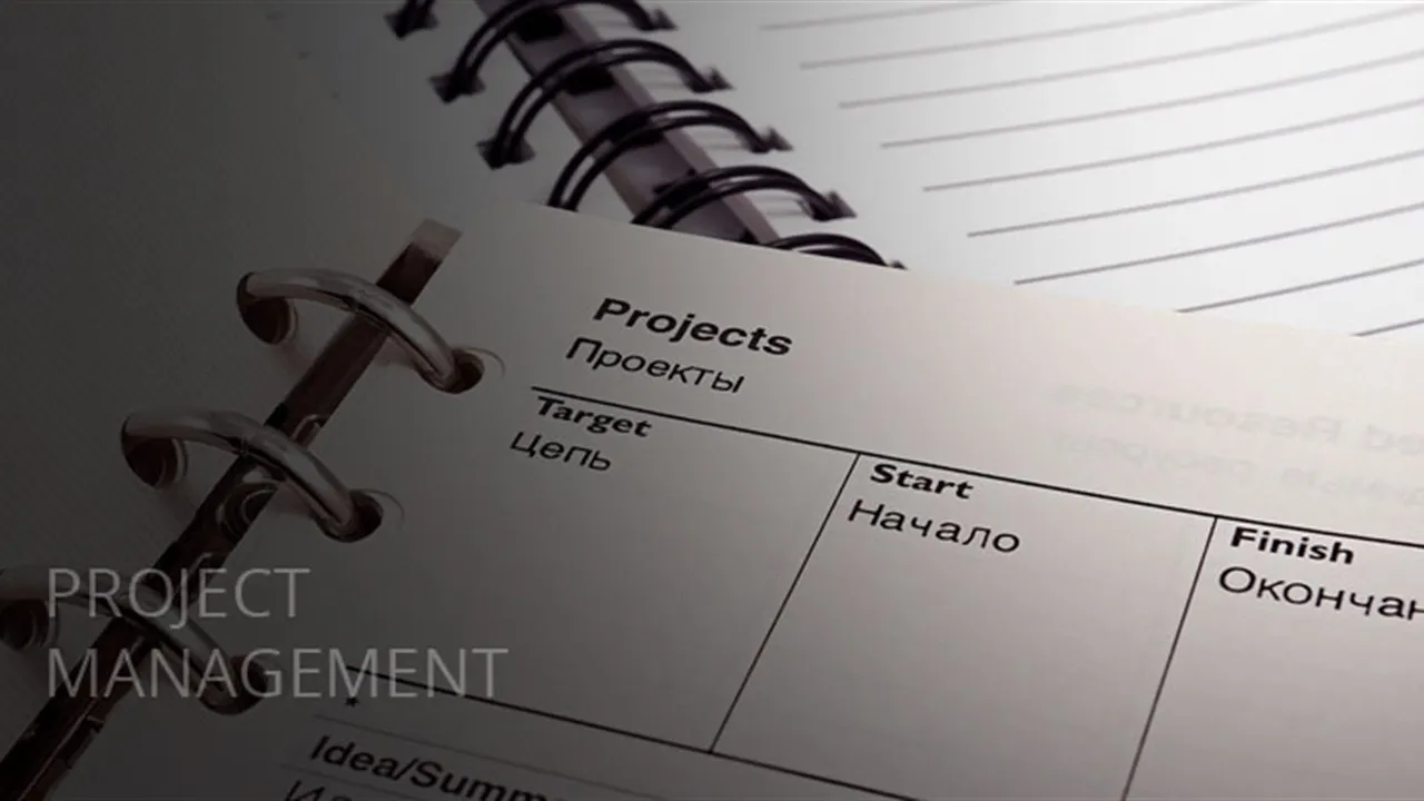Project Management Professional