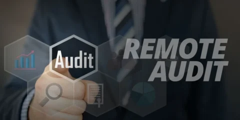 Remote Audit Berbasis RBIA
