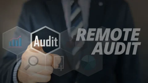 Remote Audit Berbasis RBIA