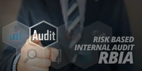 Risk Based Internal Audit (RBIA)