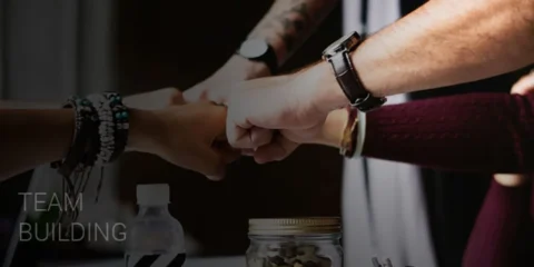High Performance Teamwork