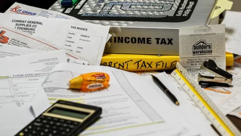 Tax Litigation