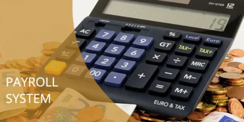 Payroll System Administration