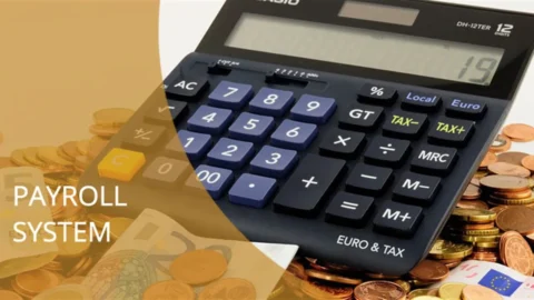 Payroll System Administration