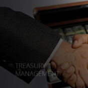 Treasury Management