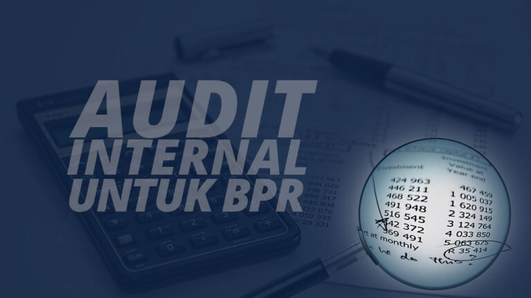 Audit Internal BPR