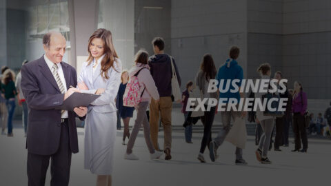 Business Experience