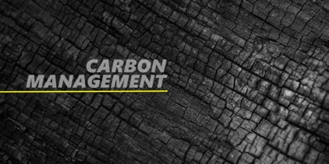 Carbon Management