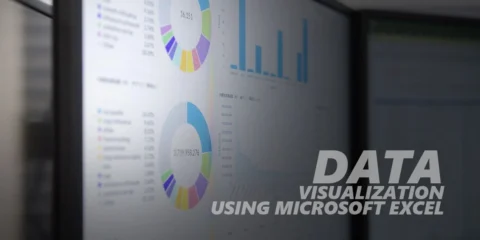 Data Visualization Microsoft Excel