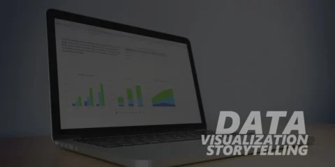 Data Visualization Storytelling
