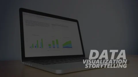 Data Visualization Storytelling