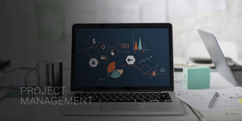 IT Project Management