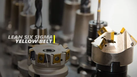 Lean Six Sigma Yellow Belt