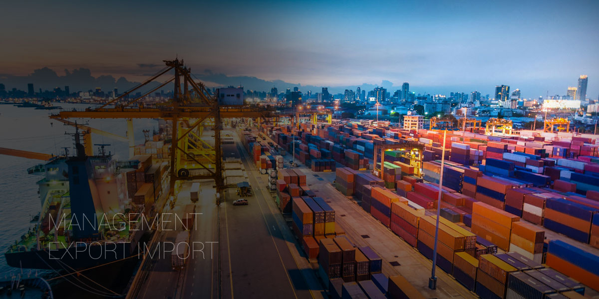 Management Export Import
